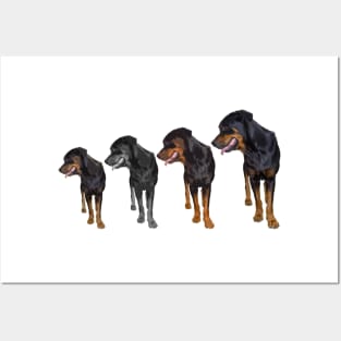 rottweiler dogs Posters and Art